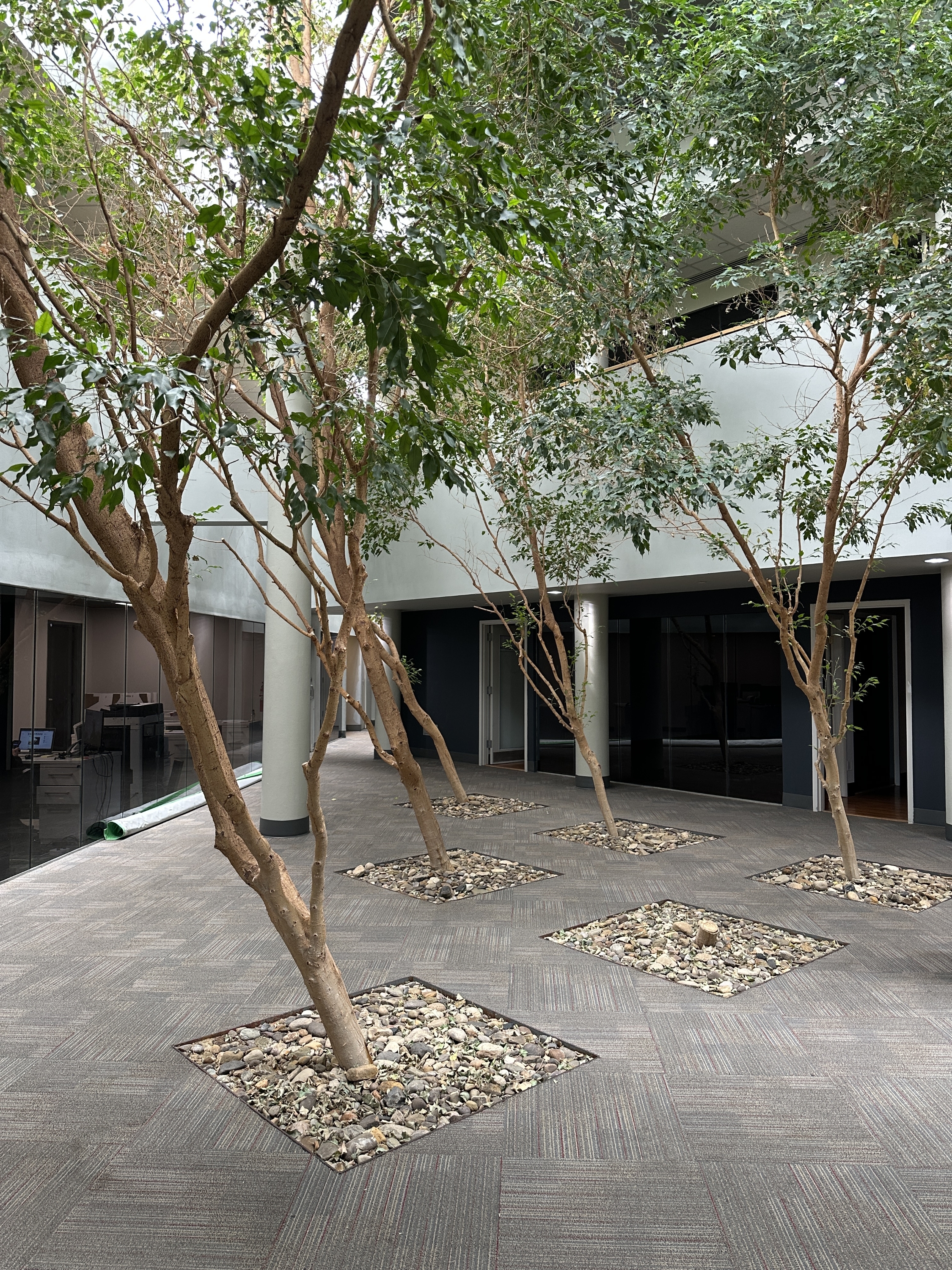 555 5th Avenue - Suite C